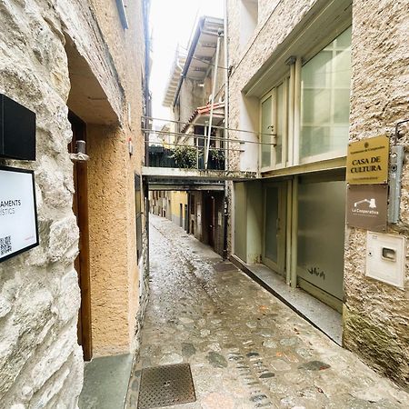 Apartamento Duplex En El Corazon De Camprodon, La Rovira Екстериор снимка